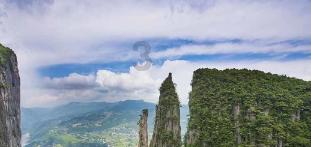 芭比的电影灵感
