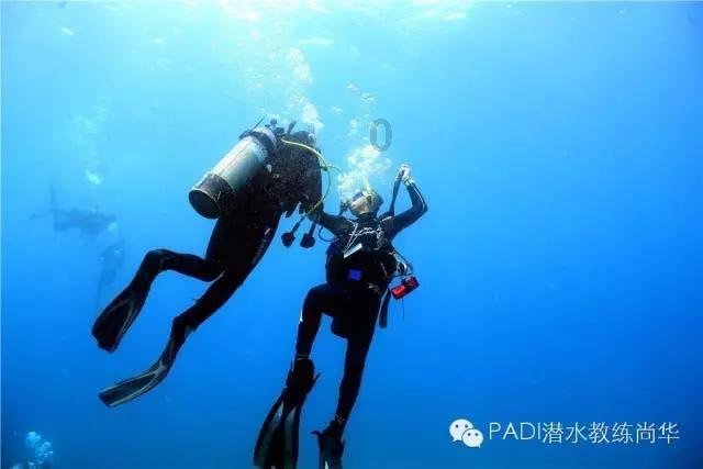 传统庙会+七千余场文旅活动,老北京的年味儿真的能回来吗?
